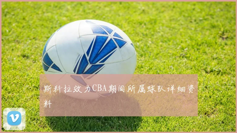 斯科拉效力CBA期间所属球队详细资料